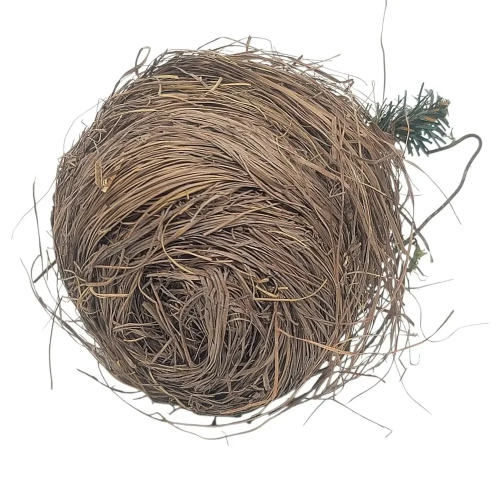 Nature Bird Nest Rose-breasted Grosbeak Bird Christmas Ornament Berries 4